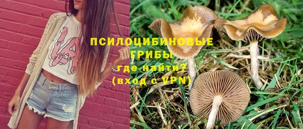 ECSTASY Богданович