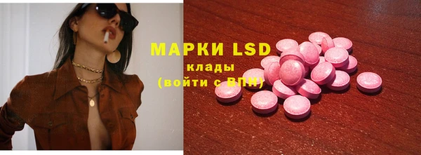 ECSTASY Богданович