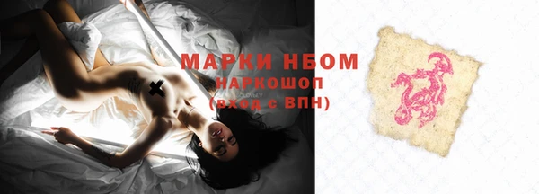 ECSTASY Богданович