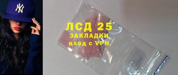 ECSTASY Богданович