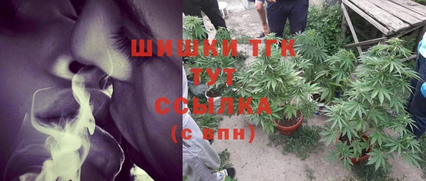 спиды Богородск