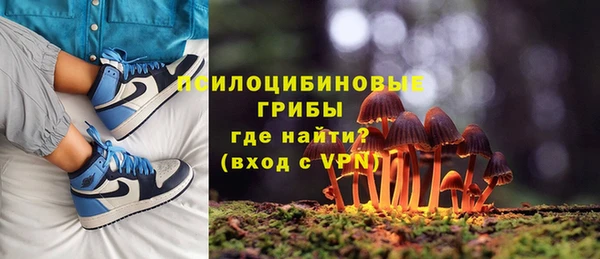 спиды Богородск