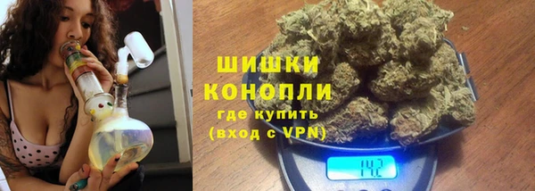 спиды Богородск