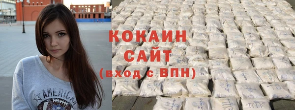 спиды Богородск