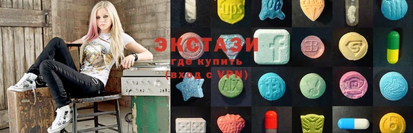 ECSTASY Богданович