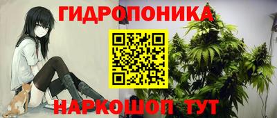 каннабис Будённовск