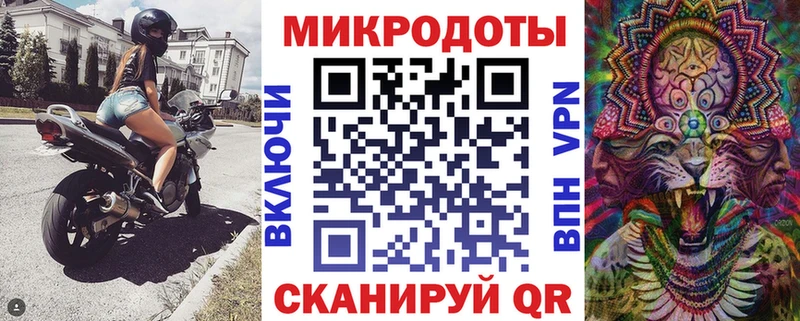 где найти   Малоярославец  Галлюциногенные грибы Psilocybine cubensis 