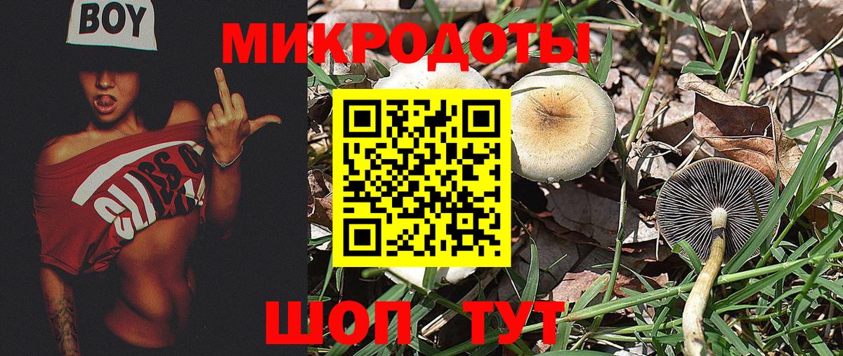 Галлюциногенные грибы мухоморы  купить  сайты  Малоярославец  Вход с VPN  Псилоцибиновые грибы Cubensis 