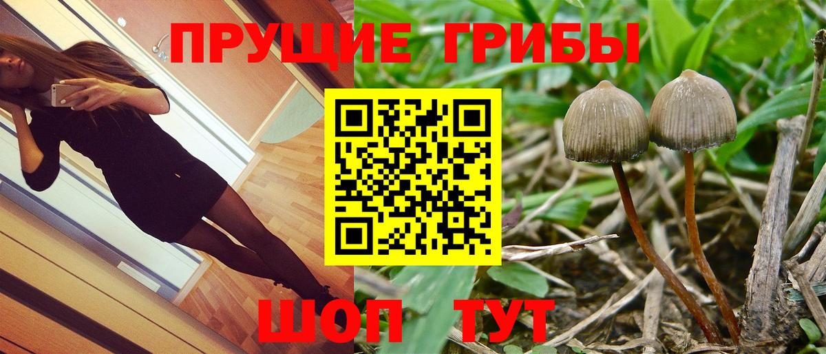 Галлюциногенные грибы мухоморы Малоярославец